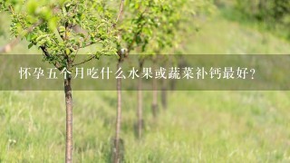 怀孕5个月吃什么水果或蔬菜补钙最好？