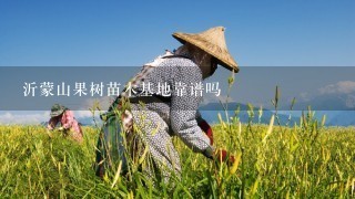 沂蒙山果树苗木基地靠谱吗