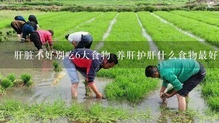 肝脏不好别吃6大食物 养肝护肝什么食物最好