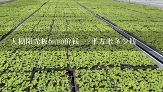 大棚阳光板6mm价钱 1平方米多少钱