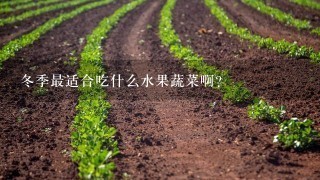 冬季最适合吃什么水果蔬菜啊？