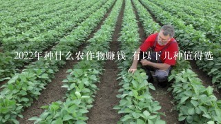 2022年种什么农作物赚钱 有以下几种值得选