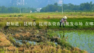 想知道：昆明市 昆明农资农药批发市场 在哪？