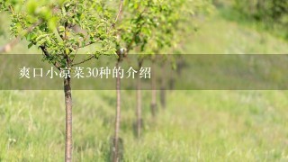 爽口小凉菜30种的介绍