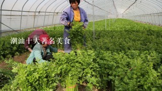 潮汕十大著名美食