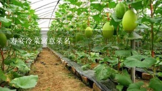 寿宴冷菜寓意菜名