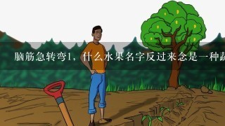 脑筋急转弯1，什么水果名字反过来念是1种蔬菜？