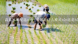 蔬菜水果配送app1般都是什么模式o2o还是b2c模式