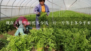 现在大棚塑料纸多少钱1斤1斤等于多少平米呢