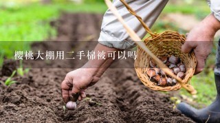 樱桃大棚用2手棉被可以吗