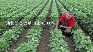 动物的英语单词常见100个