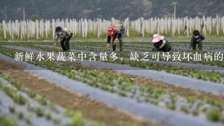 新鲜水果蔬菜中含量多，缺乏可导致坏血病的是（）。