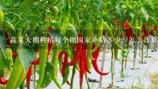 蔬菜大棚种植每个棚国家补贴多少？怎么计算？悬赏！