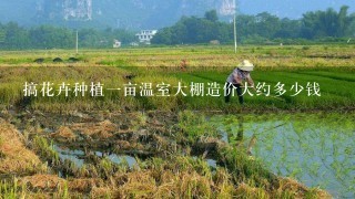 搞花卉种植1亩温室大棚造价大约多少钱