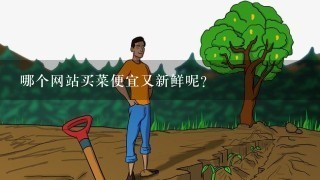 哪个网站买菜便宜又新鲜呢？