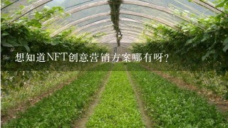 想知道NFT创意营销方案哪有呀？