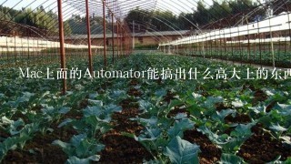 Mac上面的Automator能搞出什么高大上的东西