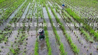 16道菜家常菜菜谱做法大全，收藏起来，不用再为吃什