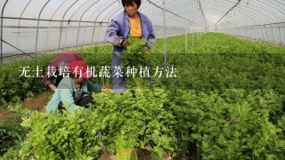 无土栽培有机蔬菜种植方法