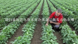 请问谁知道乌鲁木齐冷冻食品批发市场在哪？