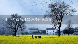 十1月份陆地适合种什么蔬菜