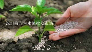 深圳海吉星水果批发市场