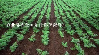 农业部称全国菜价都在涨吗？