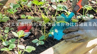 河北某地外销的无公害蔬菜价格比普通蔬菜高30%～40%...