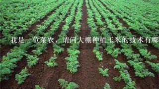 我是1位菜农，请问大棚种植玉米的技术有哪些？