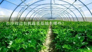 长沙周边有机蔬菜基地有哪些？