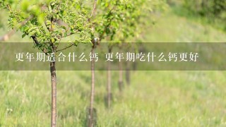 更年期适合什么钙 更年期吃什么钙更好