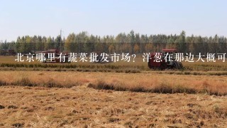 北京哪里有蔬菜批发市场？洋葱在那边大概可以买到多少钱？销量大吗？