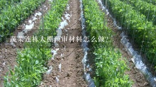 蔬菜连栋大棚预审材料怎么做？