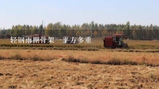 轻钢雨棚骨架1平方多重