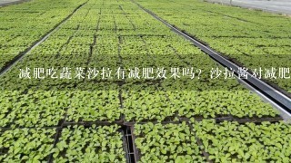 减肥吃蔬菜沙拉有减肥效果吗？沙拉酱对减肥有坏处吗