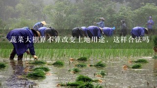 蔬菜大棚算不算改变土地用途，这样合法吗