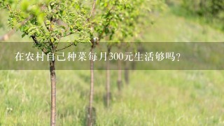 在农村自己种菜每月300元生活够吗？