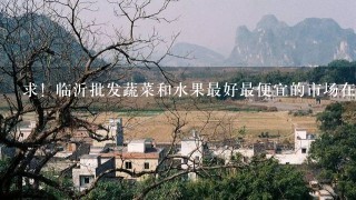 求！临沂批发蔬菜和水果最好最便宜的市场在哪？