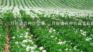 3月份适合种什么菜 3月份适合种的蔬菜有哪些