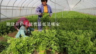 期货开户手续费最低是哪家