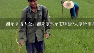 湘菜菜谱大全，湘菜家常菜有哪些?大家给推荐下