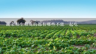 蔬菜相生相克的都有哪些不能1起吃