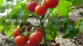 俄罗斯2015 2016蔬菜价格