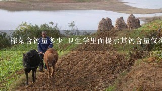 榨菜含钙量多少 卫生学里面提示其钙含量仅次于虾仁，食物排名第2，具体数值记不清