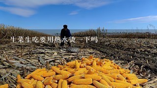 生菜生吃要用热水烫1下吗