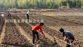 4川菜家常菜做法大全