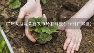 广州大型蔬菜批发市场有哪些？分别在哪里？