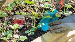 最新无土蔬菜种植方法