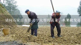 请问石家庄有那几个大型的蔬菜、水果批发市场？分别在哪里？