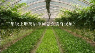 3年级上册英语单词怎么读有视频?